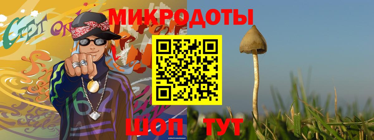 Галлюциногенные грибы Psilocybine cubensis Белгород