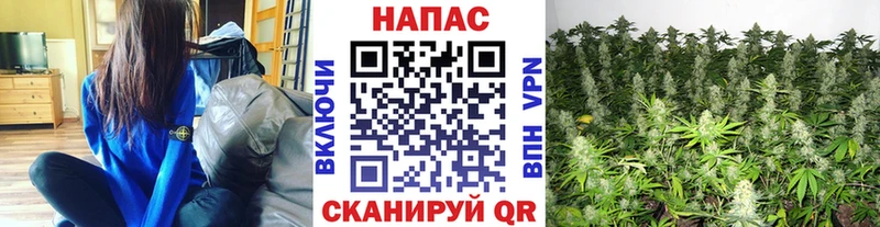 где купить наркоту  Белгород  Марихуана OG Kush 